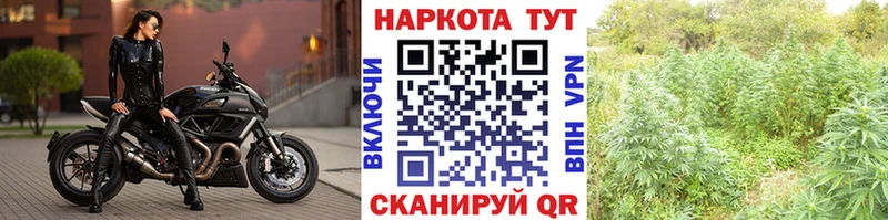 Какие есть наркотики Нижний Новгород КОКАИН  kraken маркетплейс  A PVP  ГАШИШ  Меф  Амфетамин 